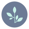 Next Generation Library Publishing