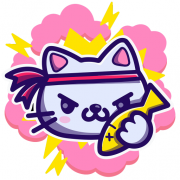 Ninja Cat