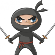 NINJA CPA Review