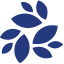 NKN