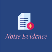 Noise Evidence