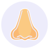 Nose Shapes