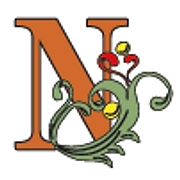 Novelda en 360