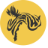 Nudi Pixel