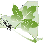 NY iMapInvasives