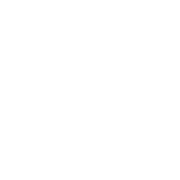 OBS Business