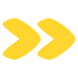 OBSERVER Brand Intelligence