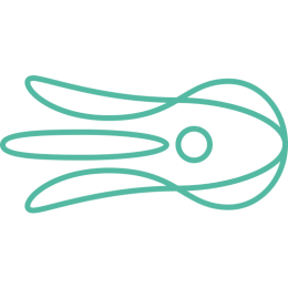 Octolize