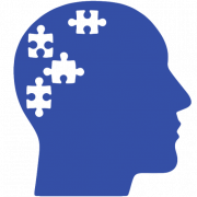 Official IQ Test