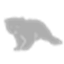 Bear File Converter