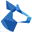 Okapya