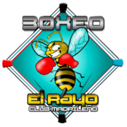 Boxeo El Rayo