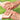 Online Care Home Training