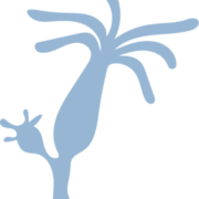 OpenHydra