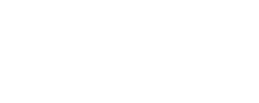 Optimal Value Systems