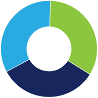 Option Backtesting
