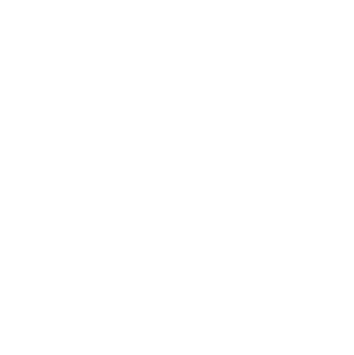 Opti Solutions