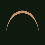 Orangutany