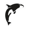 Orca Software