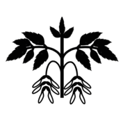 Organisms Democracy