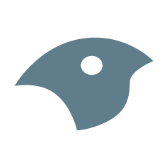 Origin Reports