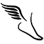 OrthOracle
