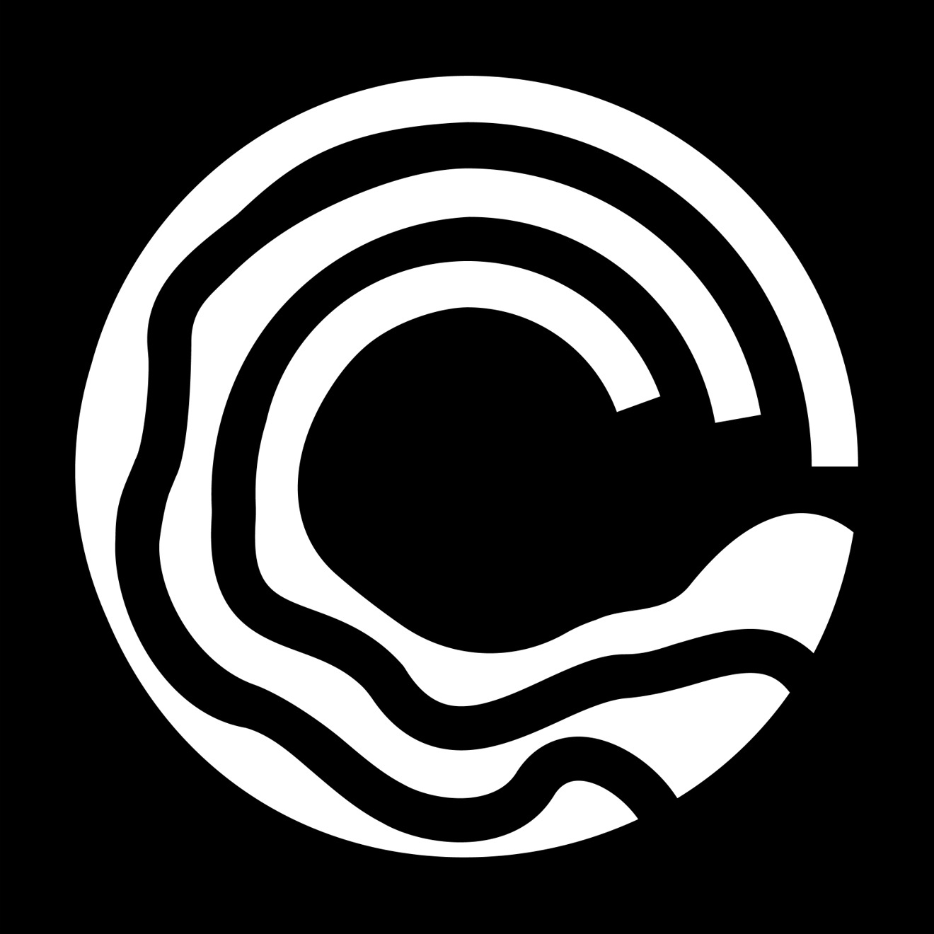 Orycta