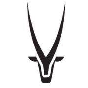 Oryx Insights