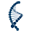 Outcross