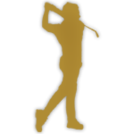 Own Your Golf Game