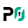 P0 Security