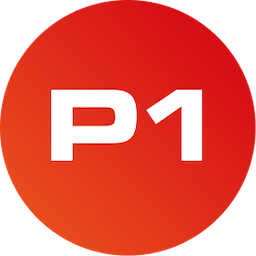 P1 Security