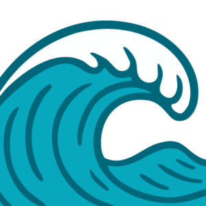 Packery Surf Cam
