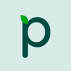 Paerpay