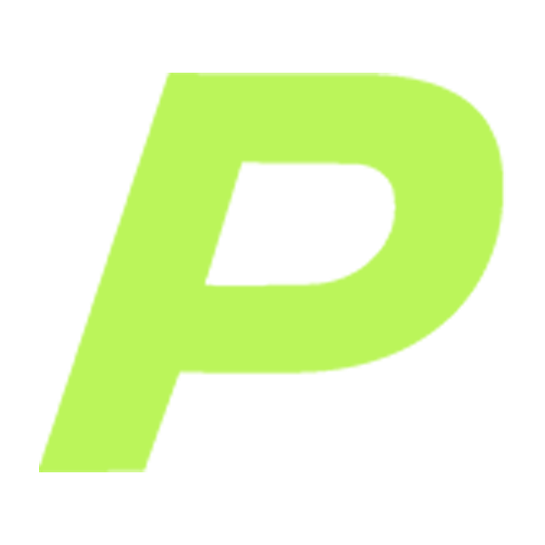 Paidia Gaming