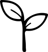 Paleta iO