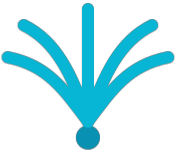 Palma