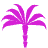 Palmoil.io