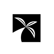 Palm Pixel