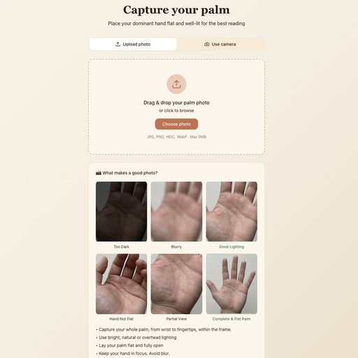 PalmSeer