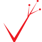PalVision Corporation