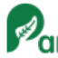 Pancares