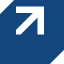Panoramix