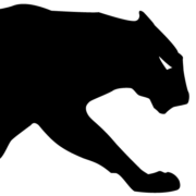 Panther Systems