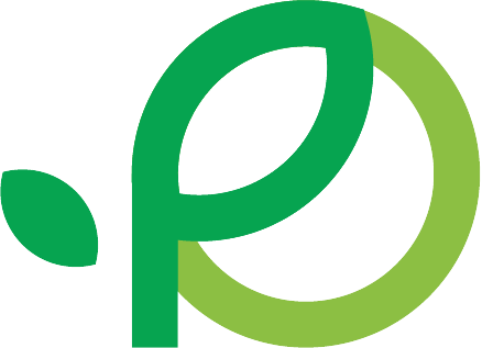 Pavo