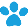 PAW Patrol Academy