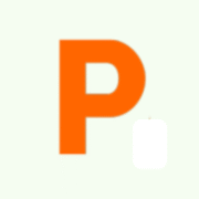 Paynetworx