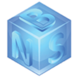 Northeast Business Solutions