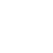 PDF to TXT