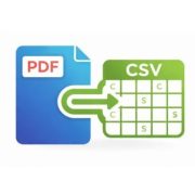 PDF Bank Statement Converter